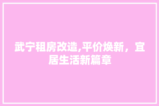 武宁租房改造,平价焕新，宜居生活新篇章