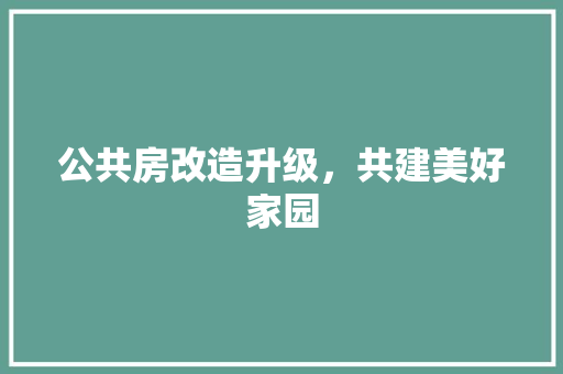 公共房改造升级，共建美好家园