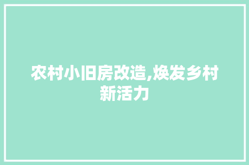 农村小旧房改造,焕发乡村新活力