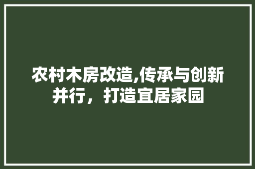 农村木房改造,传承与创新并行，打造宜居家园