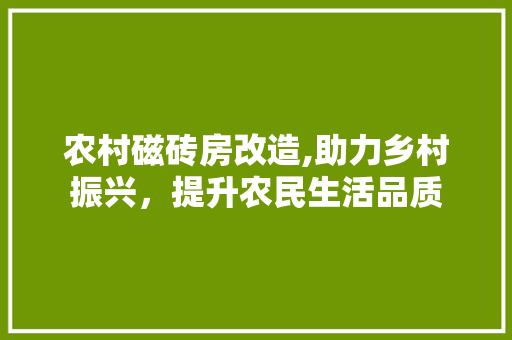 农村磁砖房改造,助力乡村振兴，提升农民生活品质