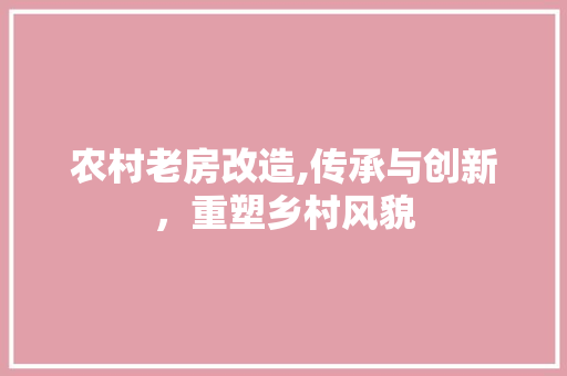 农村老房改造,传承与创新，重塑乡村风貌