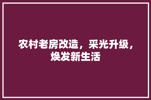 农村老房改造，采光升级，焕发新生活