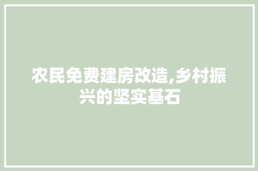 农民免费建房改造,乡村振兴的坚实基石