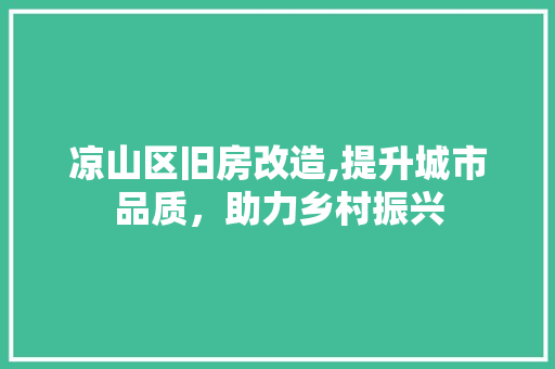 凉山区旧房改造,提升城市品质，助力乡村振兴