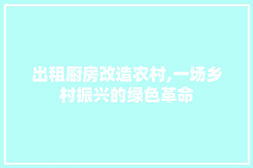 出租厨房改造农村,一场乡村振兴的绿色革命