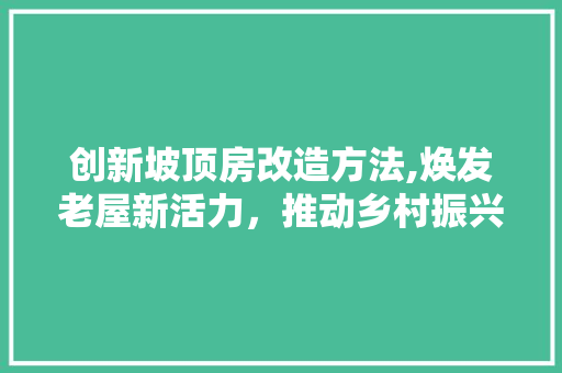 创新坡顶房改造方法,焕发老屋新活力，推动乡村振兴