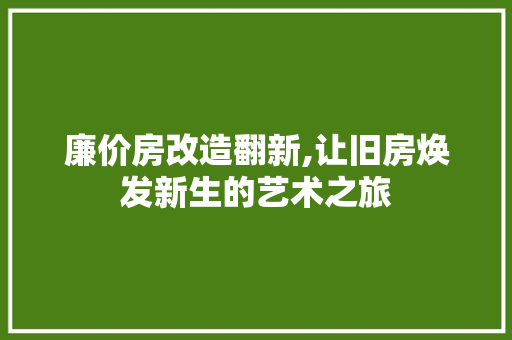 廉价房改造翻新,让旧房焕发新生的艺术之旅