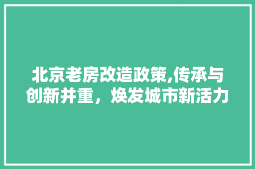 北京老房改造政策,传承与创新并重，焕发城市新活力