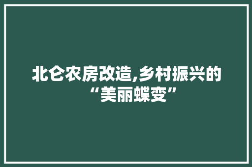北仑农房改造,乡村振兴的“美丽蝶变”