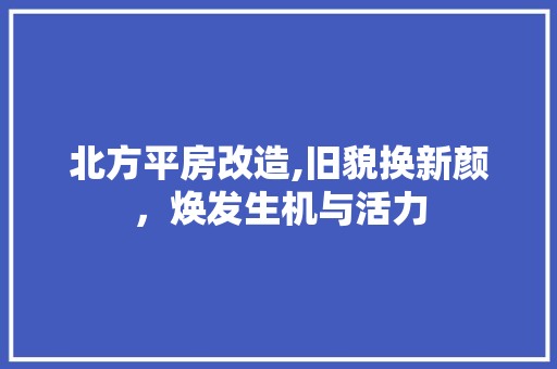 北方平房改造,旧貌换新颜，焕发生机与活力