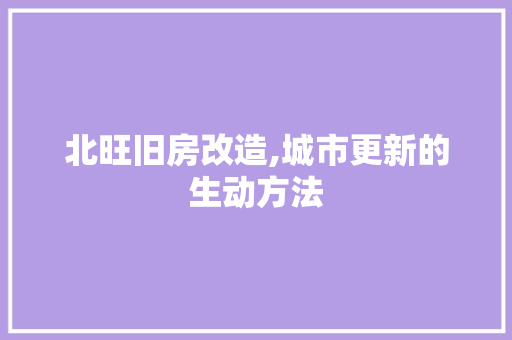 北旺旧房改造,城市更新的生动方法