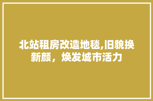 北站租房改造地毯,旧貌换新颜，焕发城市活力