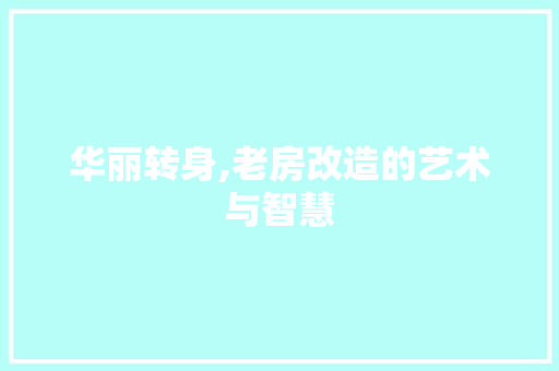 华丽转身,老房改造的艺术与智慧