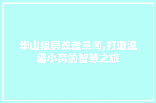 华山租房改造单间,打造温馨小窝的智慧之旅