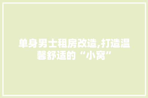 单身男士租房改造,打造温馨舒适的“小窝”