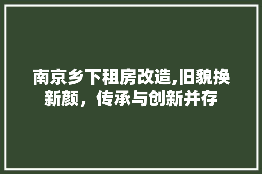 南京乡下租房改造,旧貌换新颜，传承与创新并存
