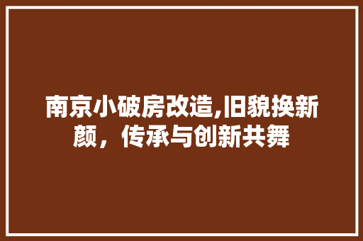 南京小破房改造,旧貌换新颜，传承与创新共舞