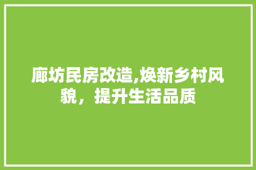 廊坊民房改造,焕新乡村风貌，提升生活品质