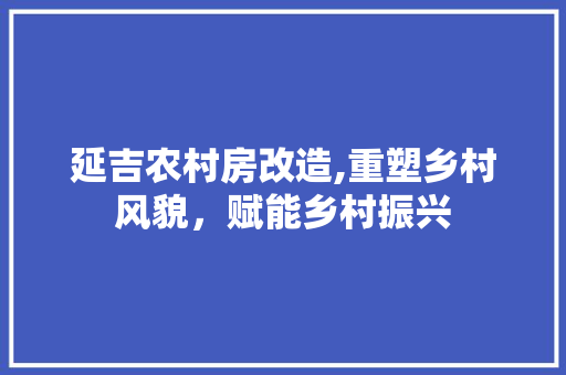 延吉农村房改造,重塑乡村风貌，赋能乡村振兴