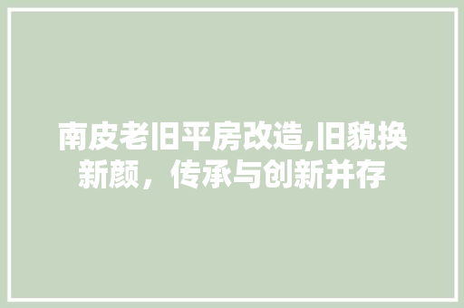 南皮老旧平房改造,旧貌换新颜，传承与创新并存