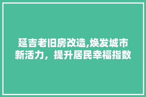 延吉老旧房改造,焕发城市新活力，提升居民幸福指数