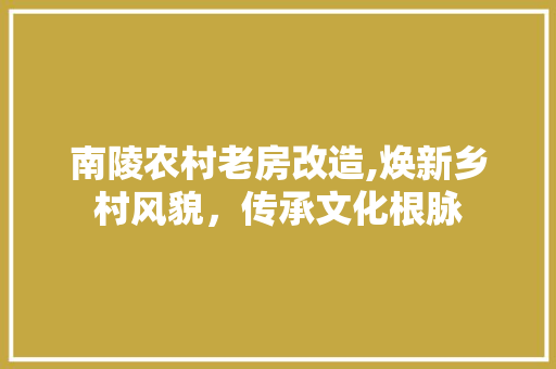 南陵农村老房改造,焕新乡村风貌，传承文化根脉