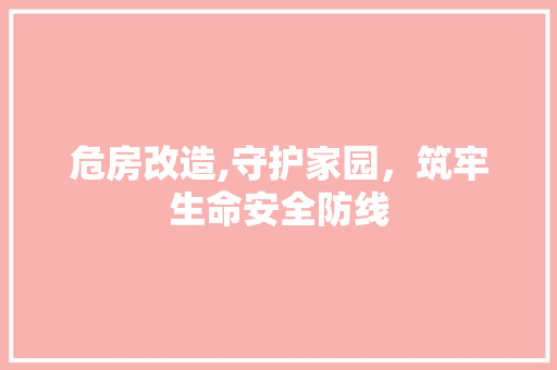 危房改造,守护家园，筑牢生命安全防线
