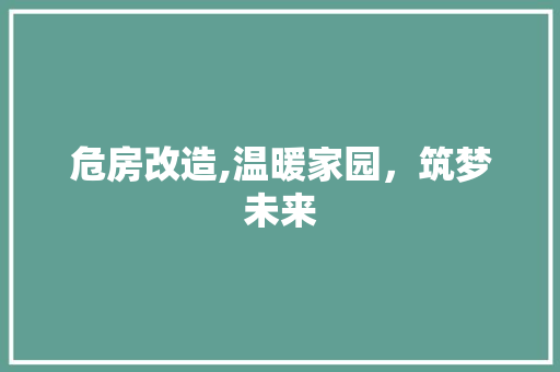 危房改造,温暖家园，筑梦未来