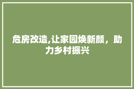 危房改造,让家园焕新颜，助力乡村振兴