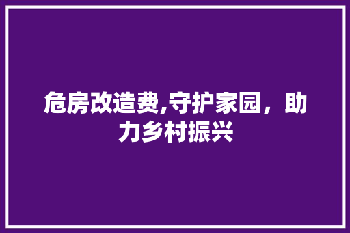 危房改造费,守护家园，助力乡村振兴
