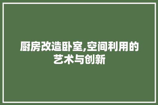厨房改造卧室,空间利用的艺术与创新