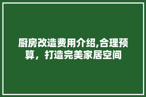 厨房改造费用介绍,合理预算，打造完美家居空间