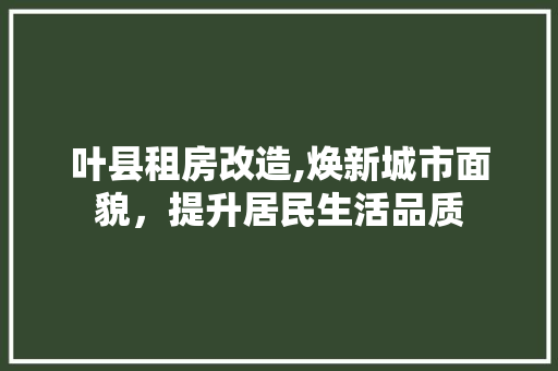 叶县租房改造,焕新城市面貌，提升居民生活品质