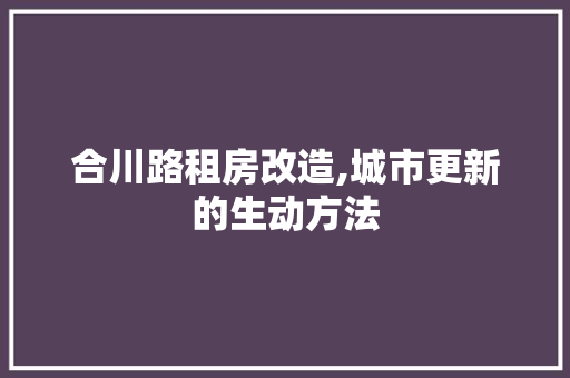 合川路租房改造,城市更新的生动方法