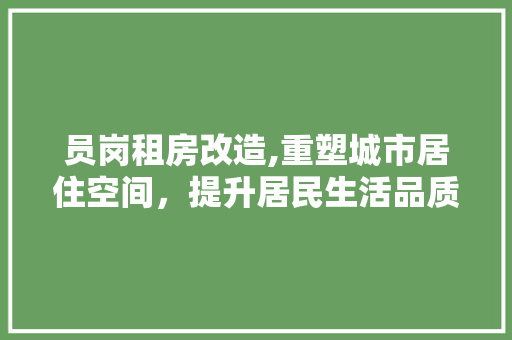 员岗租房改造,重塑城市居住空间，提升居民生活品质