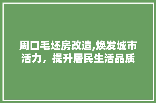 周口毛坯房改造,焕发城市活力，提升居民生活品质