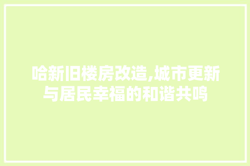 哈新旧楼房改造,城市更新与居民幸福的和谐共鸣