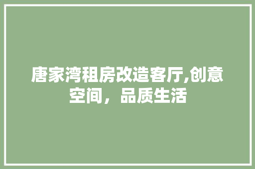 唐家湾租房改造客厅,创意空间，品质生活