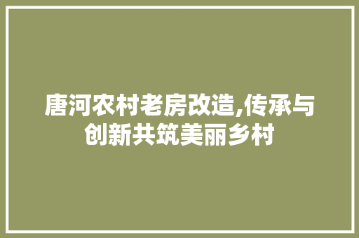 唐河农村老房改造,传承与创新共筑美丽乡村
