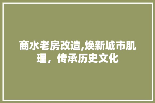 商水老房改造,焕新城市肌理，传承历史文化