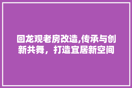 回龙观老房改造,传承与创新共舞，打造宜居新空间