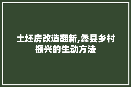 土坯房改造翻新,蠡县乡村振兴的生动方法