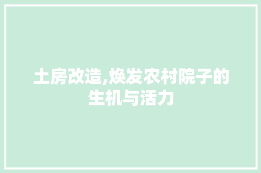 土房改造,焕发农村院子的生机与活力