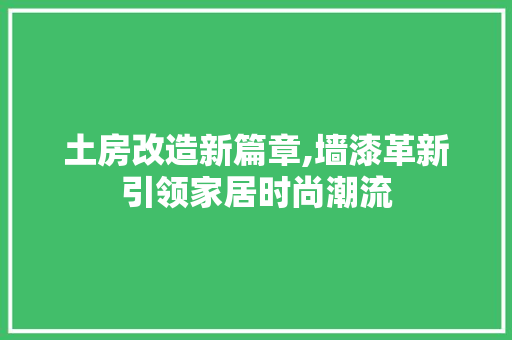 土房改造新篇章,墙漆革新引领家居时尚潮流