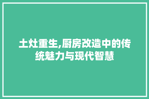 土灶重生,厨房改造中的传统魅力与现代智慧