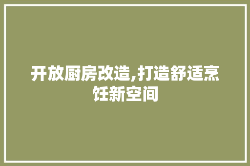 开放厨房改造,打造舒适烹饪新空间
