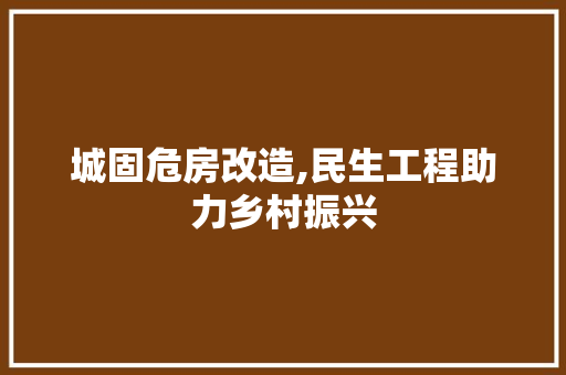 城固危房改造,民生工程助力乡村振兴