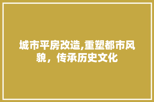 城市平房改造,重塑都市风貌，传承历史文化