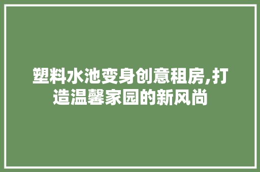 塑料水池变身创意租房,打造温馨家园的新风尚